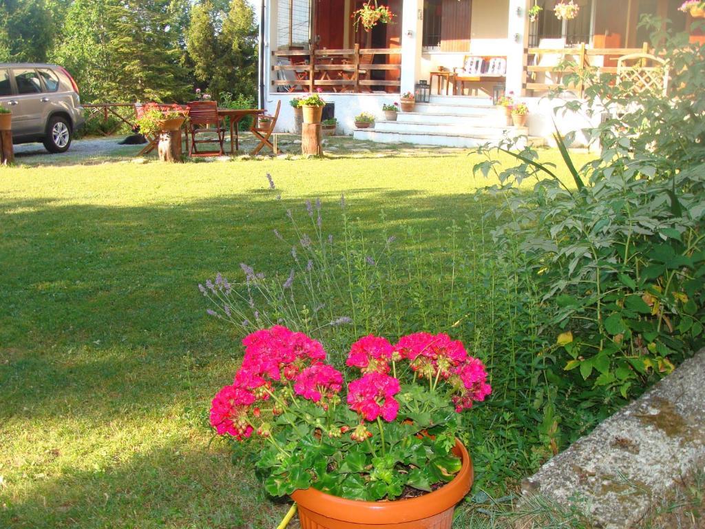 Forest View B&B Gavi Exterior photo