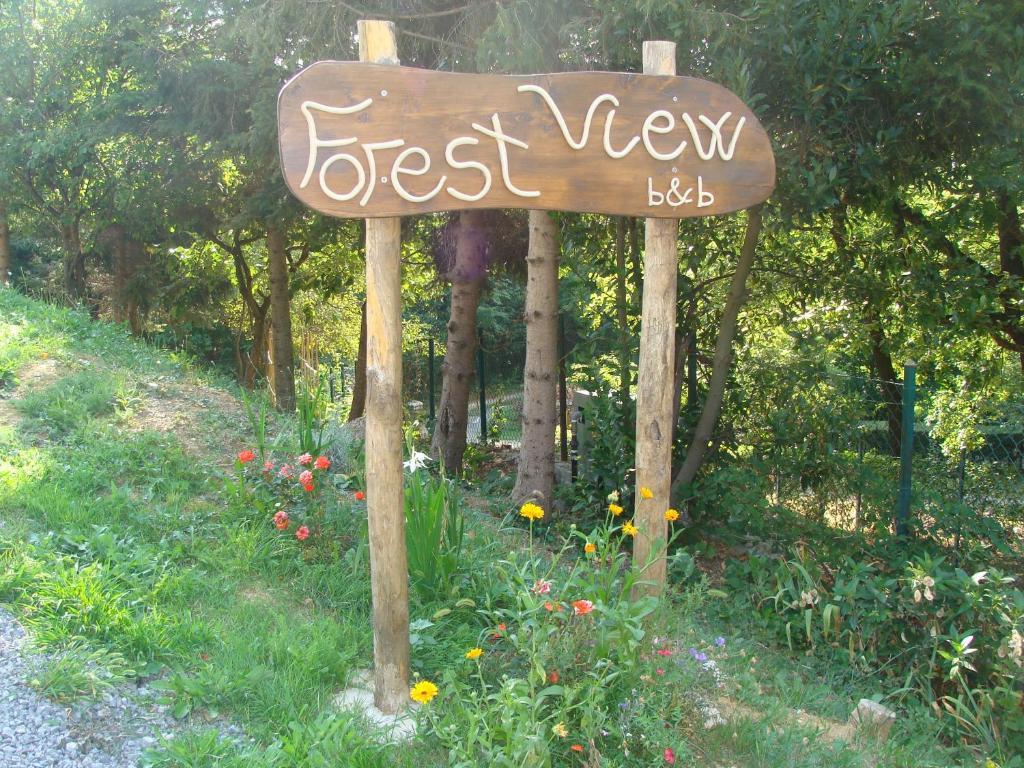 Forest View B&B Gavi Exterior photo